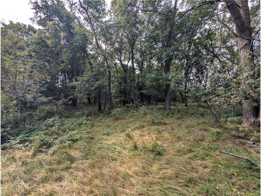 xxxx Joplin Street NW Elk River MN 55330 6770487 image24