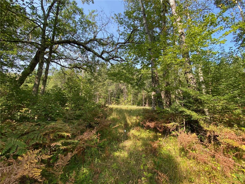 xxxx Lake Avenue Mcgregor MN 55760 6598997 image1