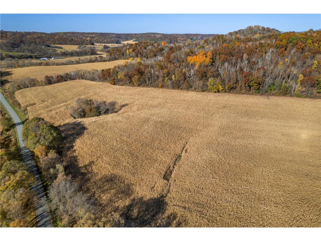 xxxx Linden Lane Road N Arcadia WI 54612 6622799 image1