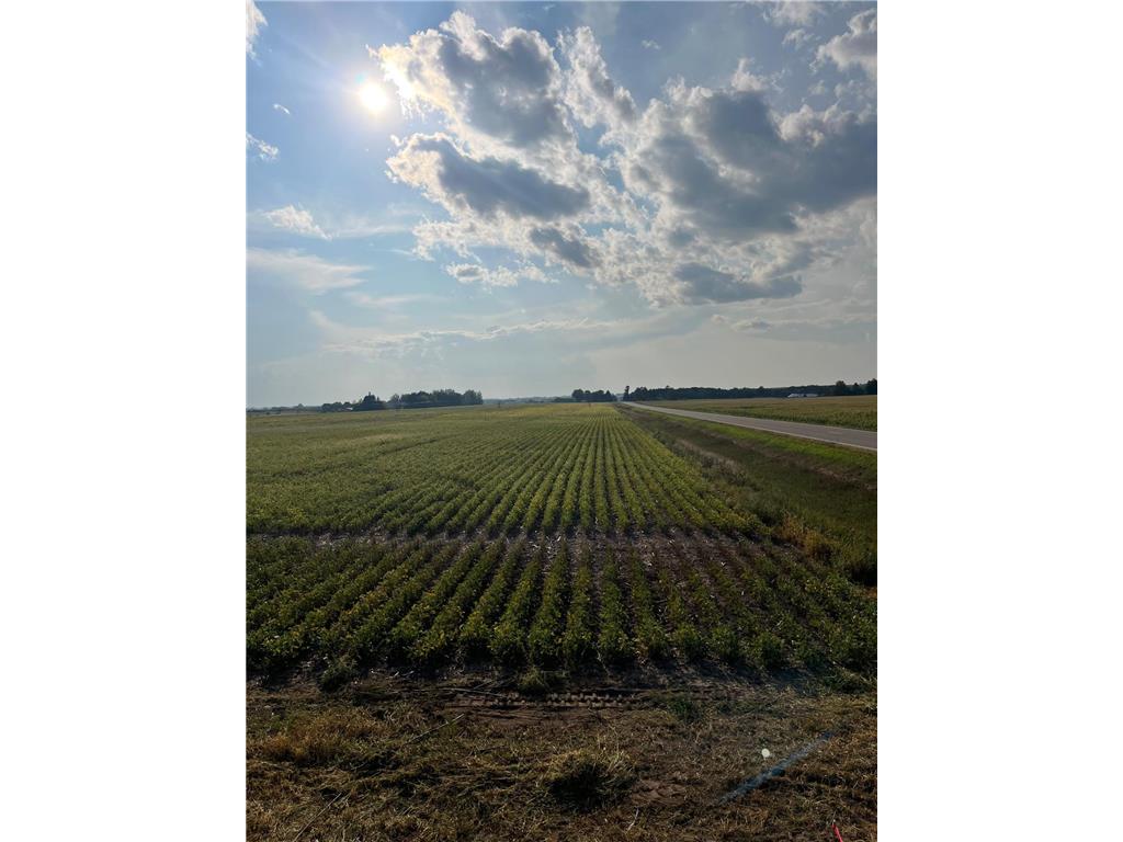 xxxx Little Rock Road NE Foley MN 56329 6432871 image1