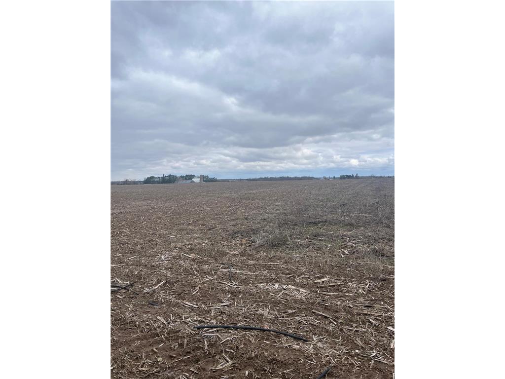 xxxx Little Rock Road NE Gilmanton Twp MN 56329 6522629 image1