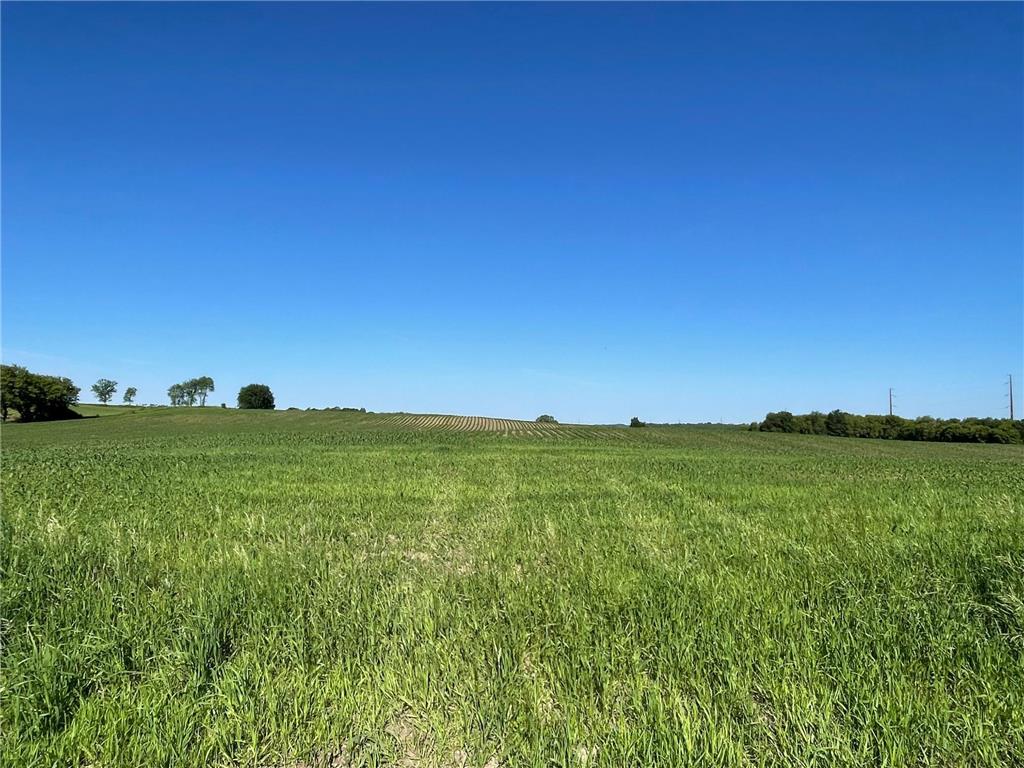 xxxx New Haven (site 19) Rd NW Pine Island MN 55963 6644639 image1