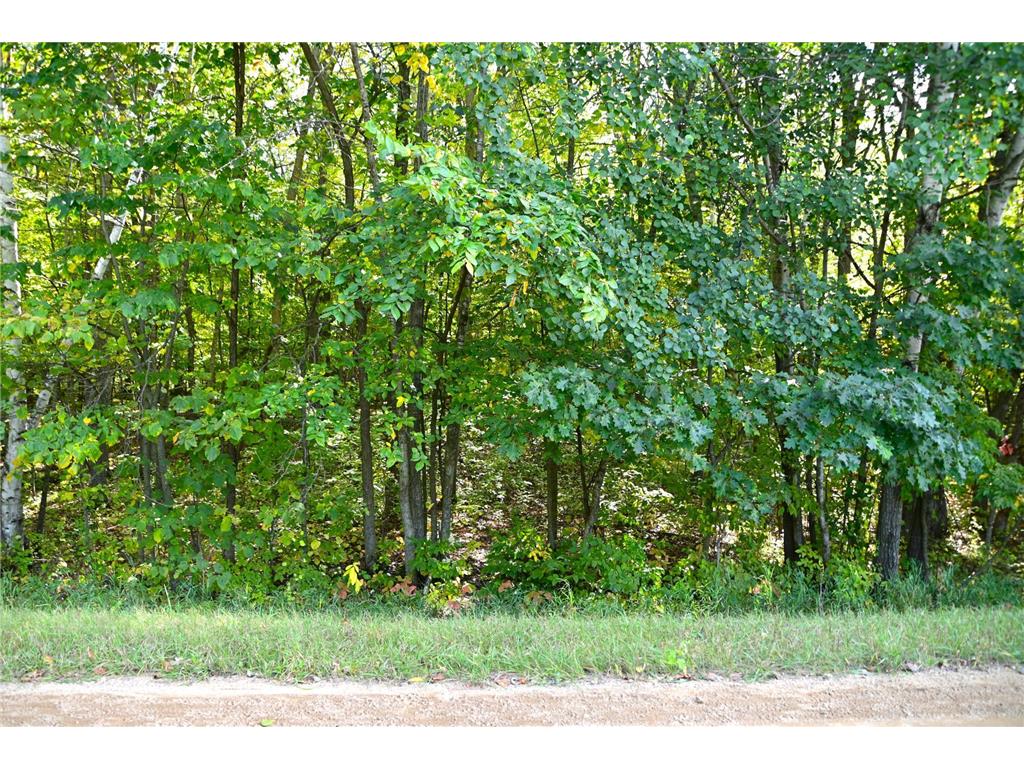 xxxx Penny Drive Fawn Lake Twp MN 56438 6446951 image1