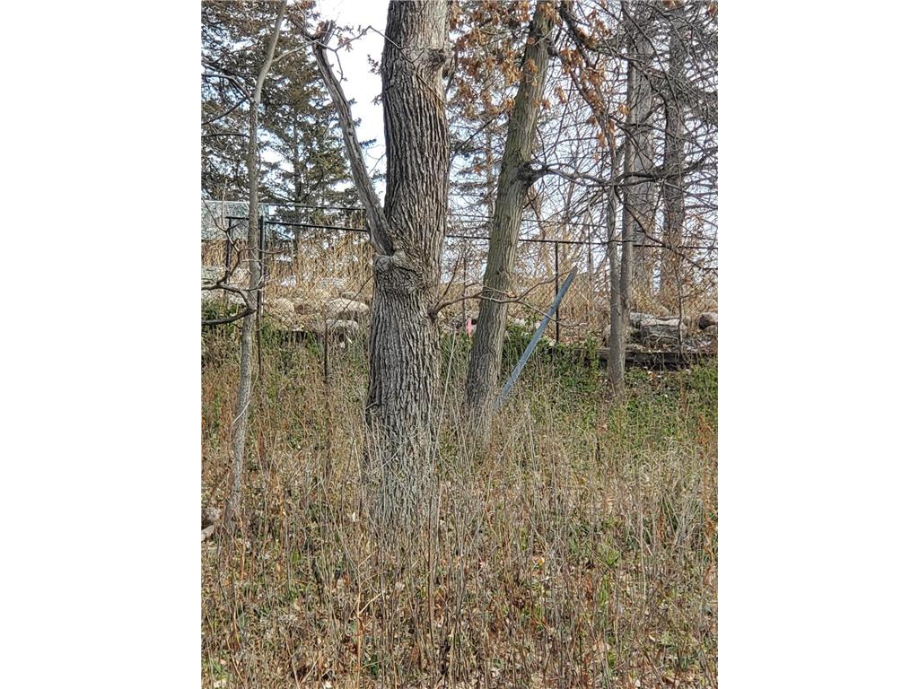 xxxx Riverview Road Eden Prairie MN 55347 6630986 image8