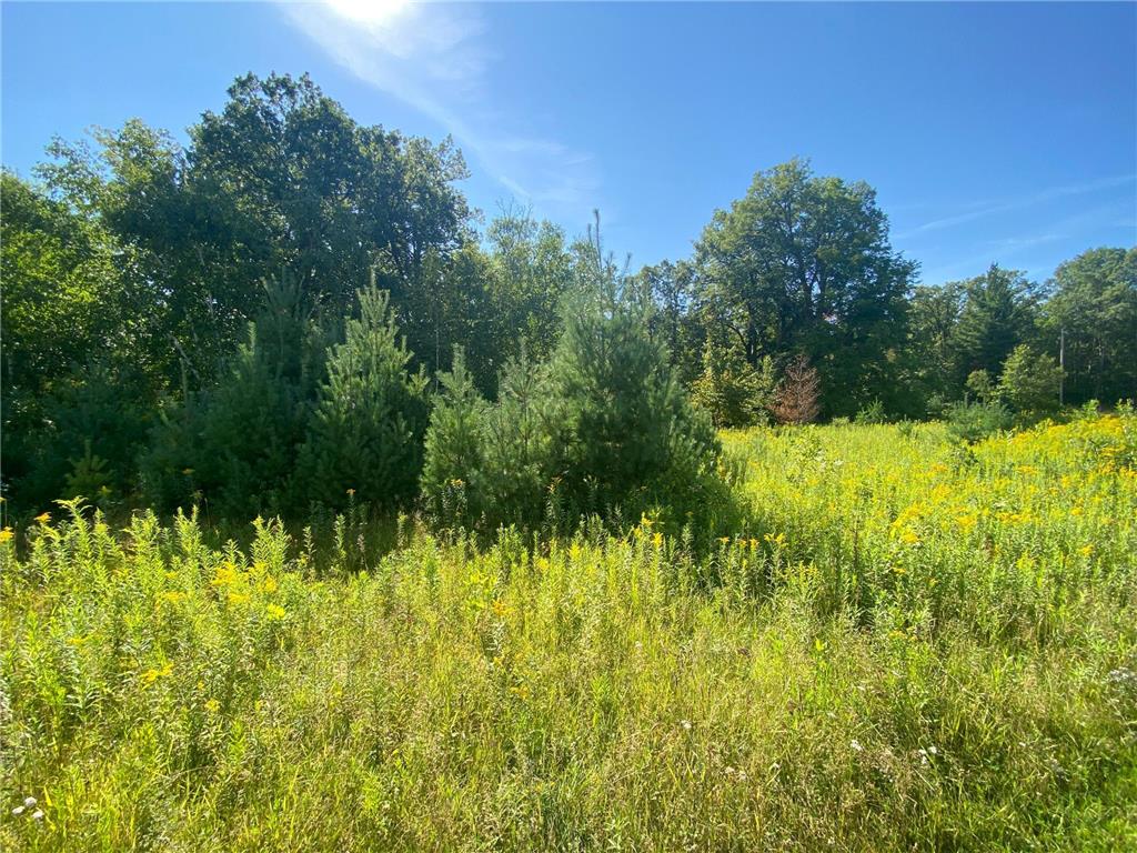 xxxx Salmonson River Trail Mora MN 55051 6421281 image1