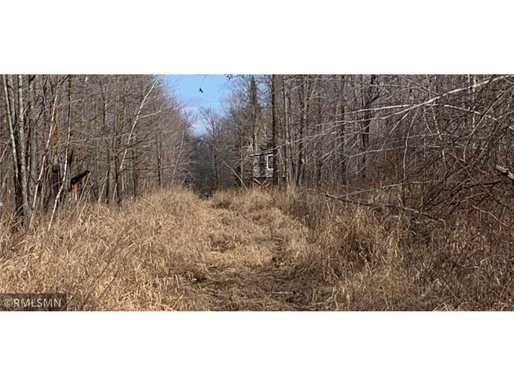 xxxx Skyview Street Brook Park MN 55007 6501410 image1