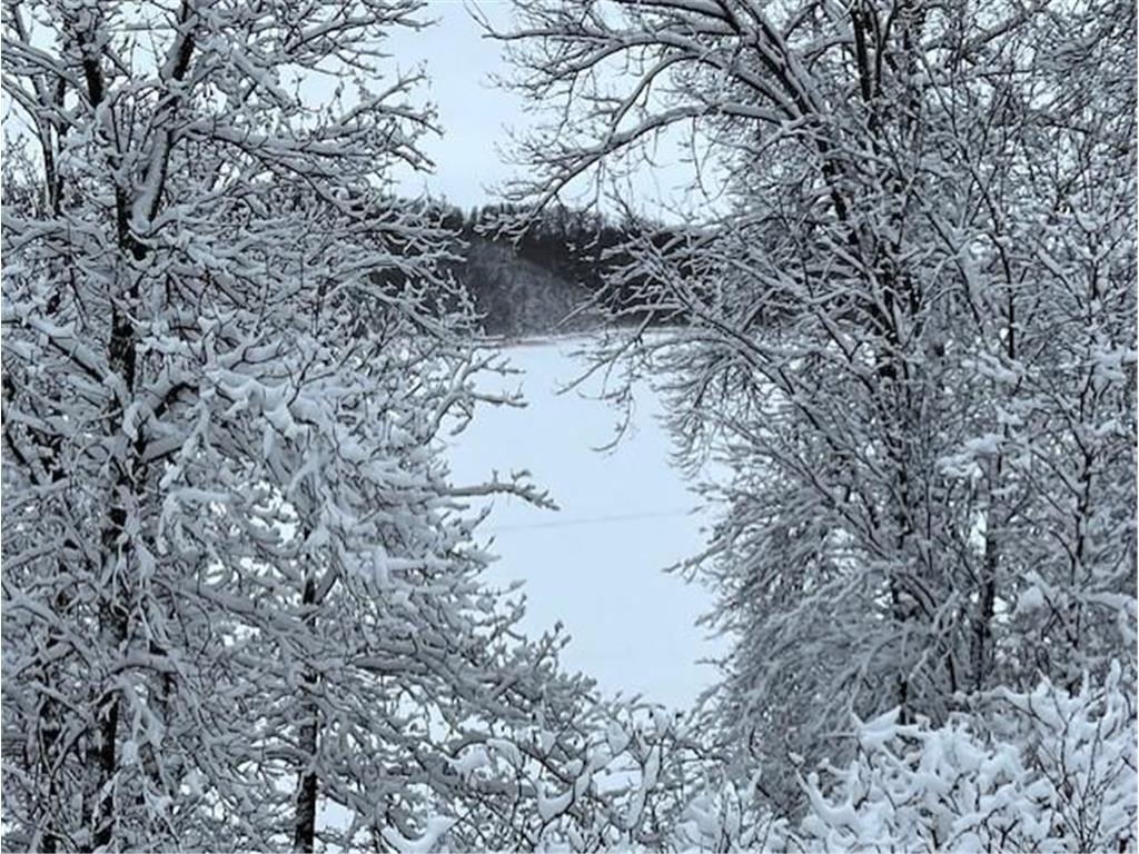 xxxx State Hwy 114 SW Lowry MN 56349 - Pocket 6317558 image1