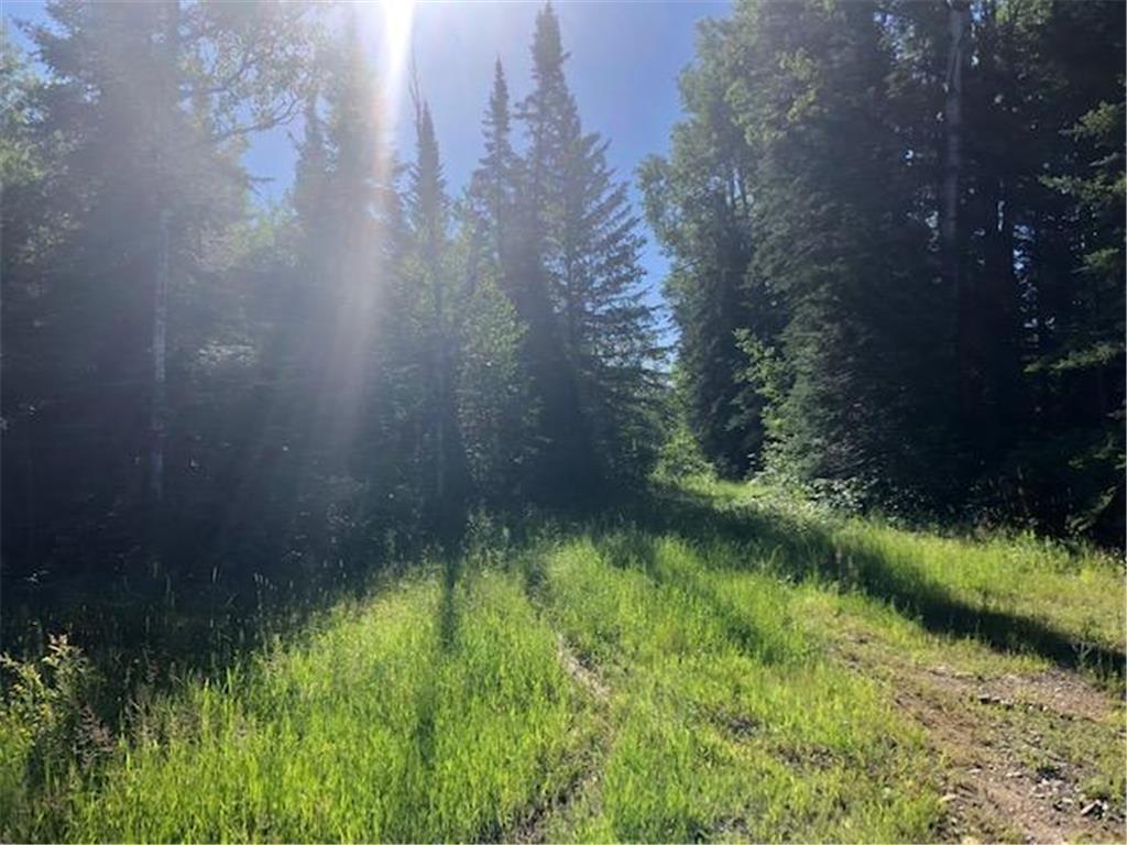 xxxx Town Road 68 East Koochiching Unorg. Terr. MN 55771 6336641 image1