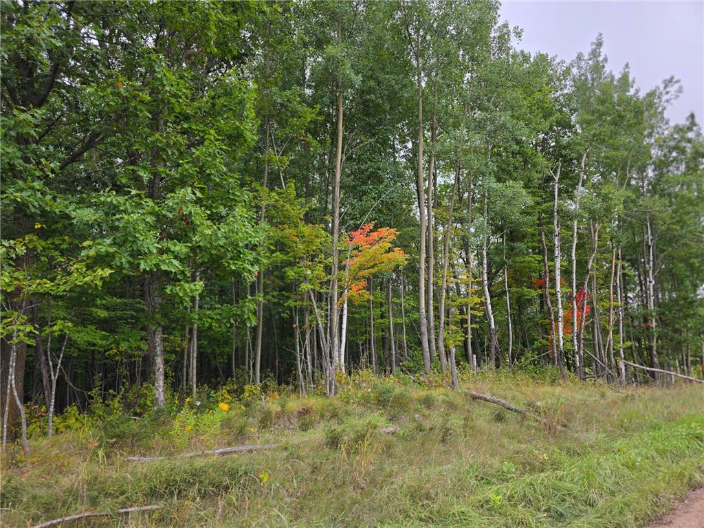 xxxx Tract C Pioneer Road Barnum MN 55707 6787838 image1