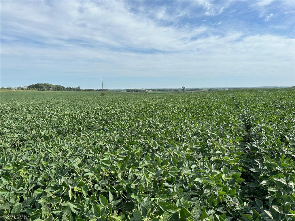 xxxx W 265Th Eureka Twp MN 55024 6416950 image1