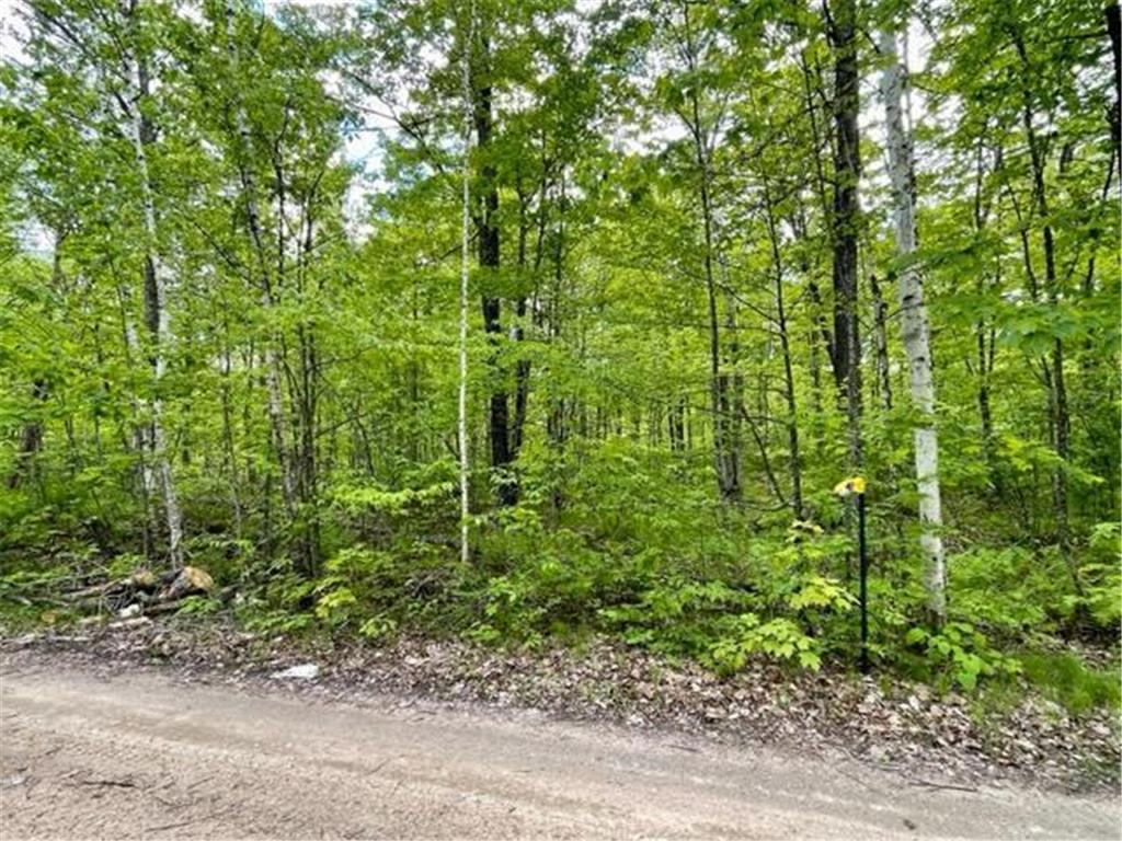 xxxx West Graves Lake Rd NE Remer MN 56672 6511432 image1