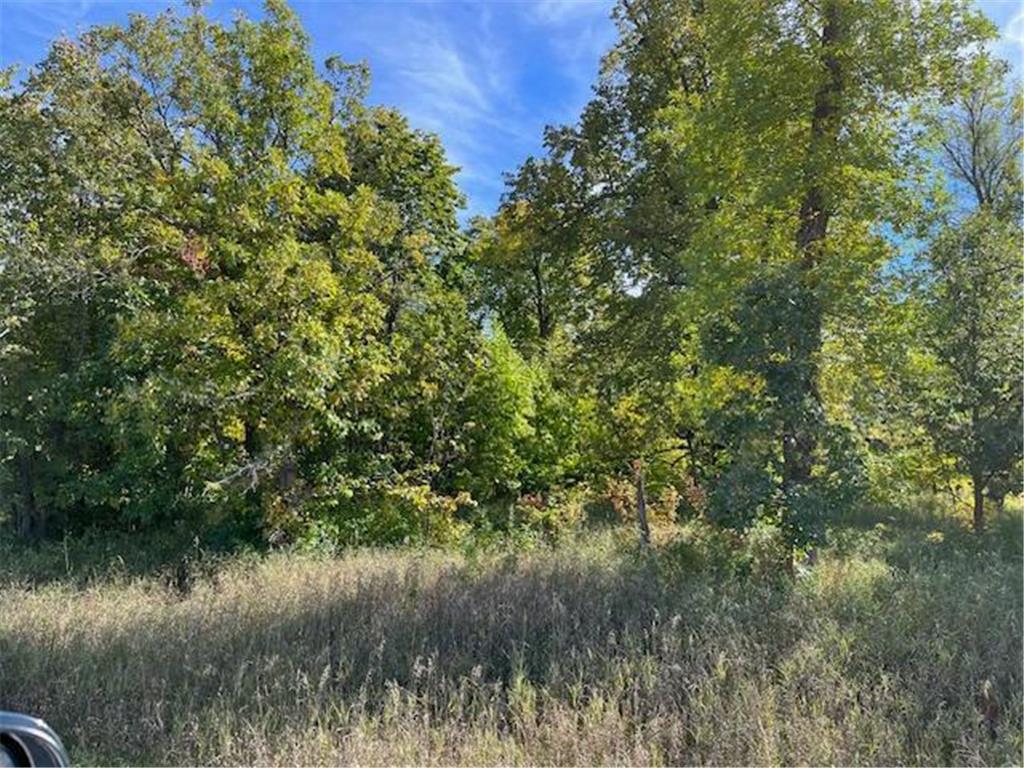 xxxx Woodsmen Lane SW Lake Mary Twp MN 56308 6591480 image10