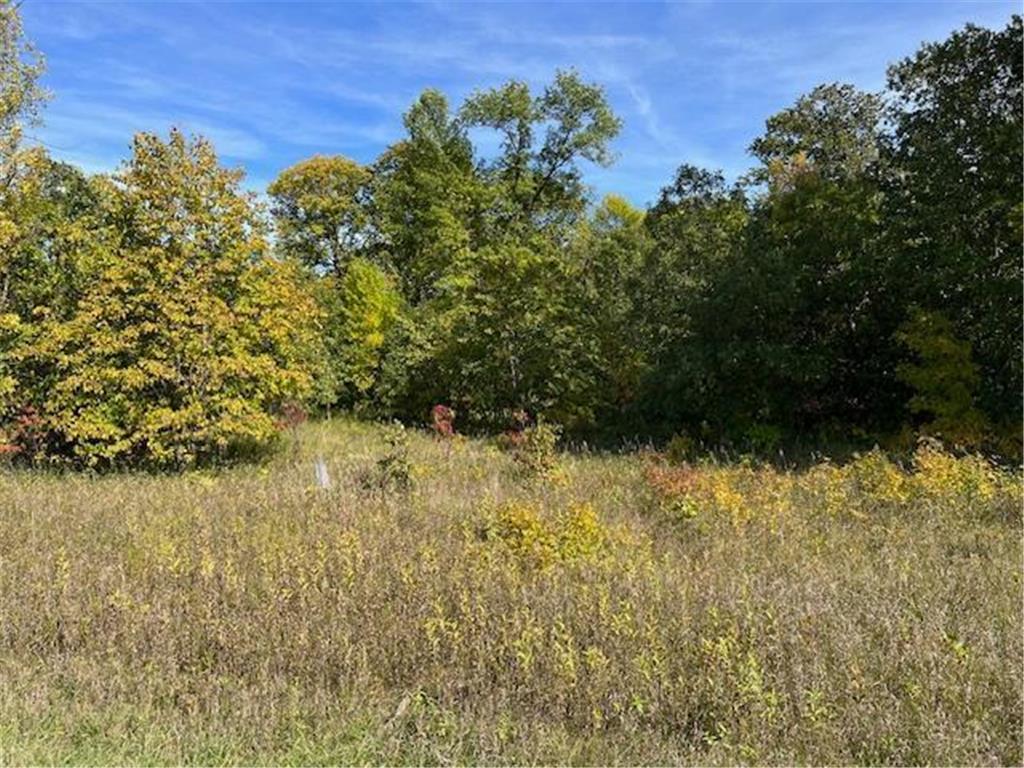 xxxx Woodsmen Lane SW Lake Mary Twp MN 56308 6591480 image2