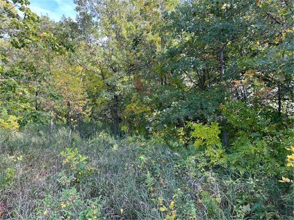 xxxx Woodsmen Lane SW Lake Mary Twp MN 56308 6591480 image3