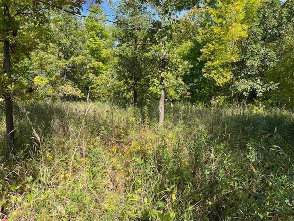 xxxx Woodsmen Lane SW Lake Mary Twp MN 56308 6591480 image6