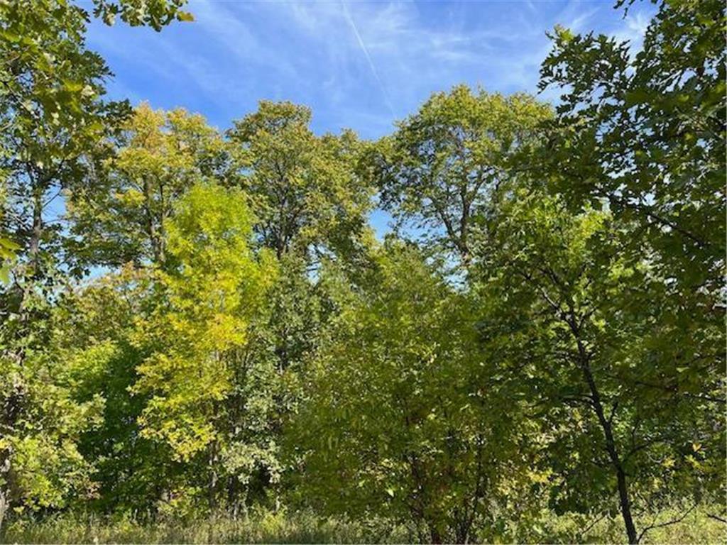 xxxx Woodsmen Lane SW Lake Mary Twp MN 56308 6591480 image7