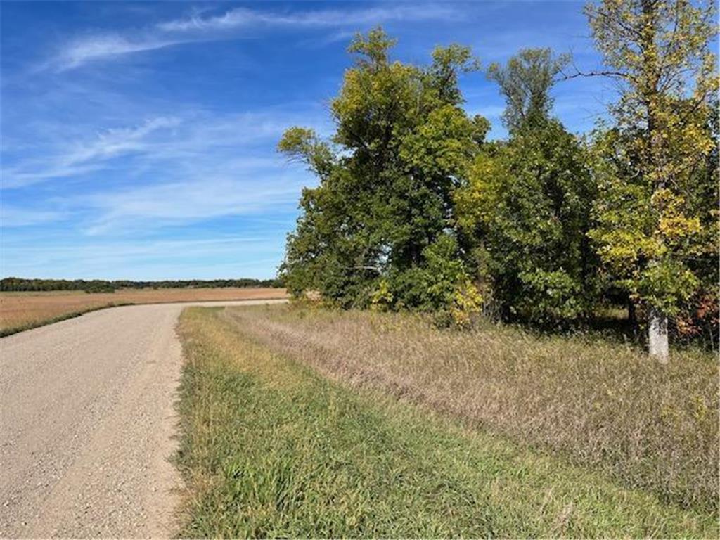 xxxx Woodsmen Lane SW Lake Mary Twp MN 56308 6591480 image9