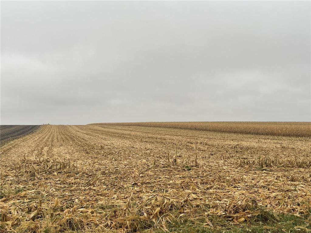 xxxx xxxx Holly Twp MN 56175 6809996 image3