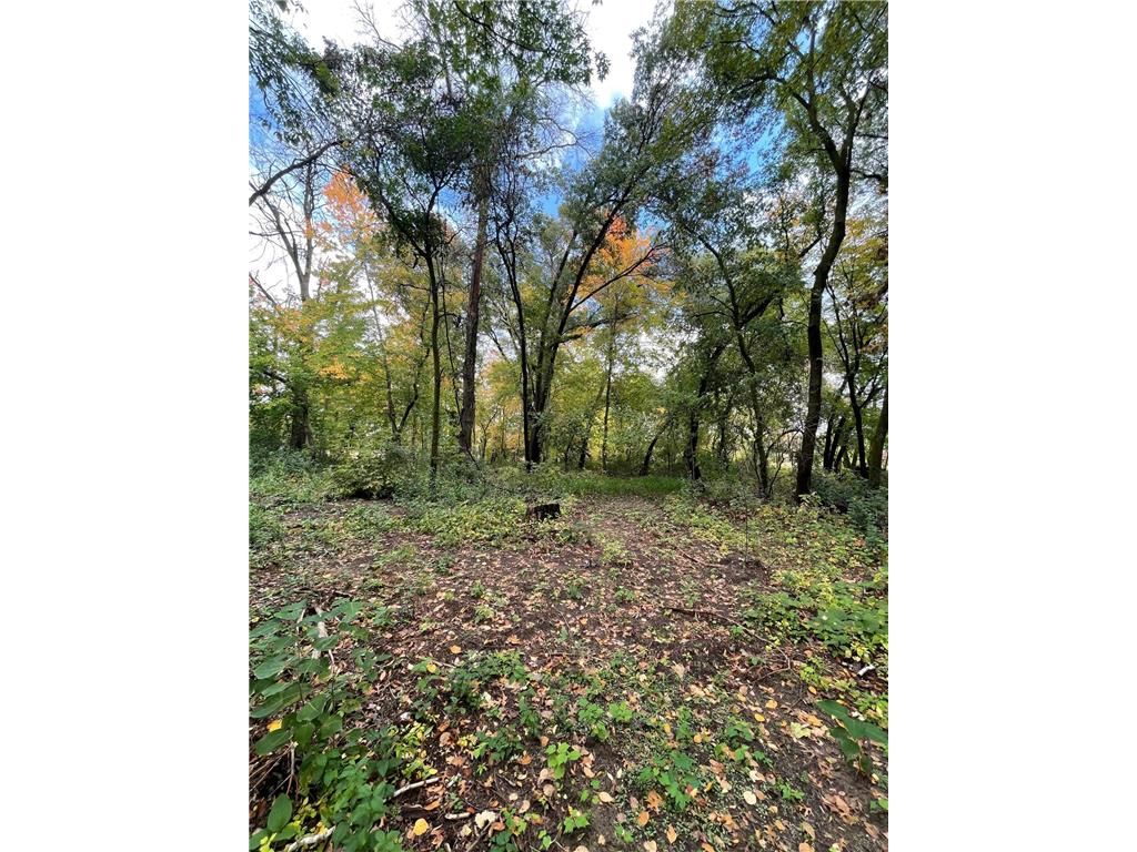 xxxx4 Elmcrest Avenue Stacy MN 55079 6568430 image1