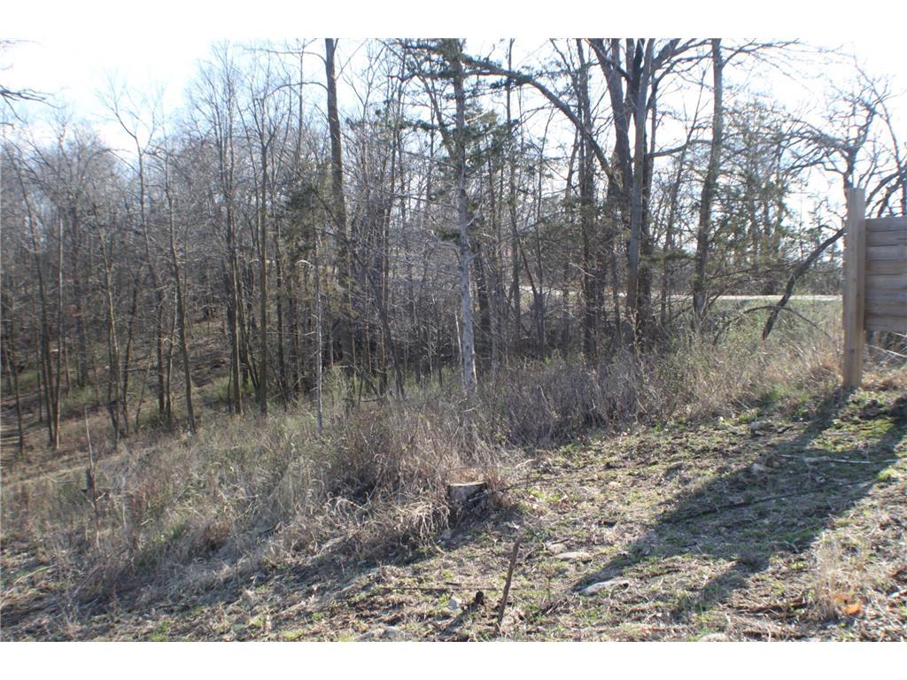 xxxxB Kings Park Road NW Oronoco Twp MN 55960 6707240 image2