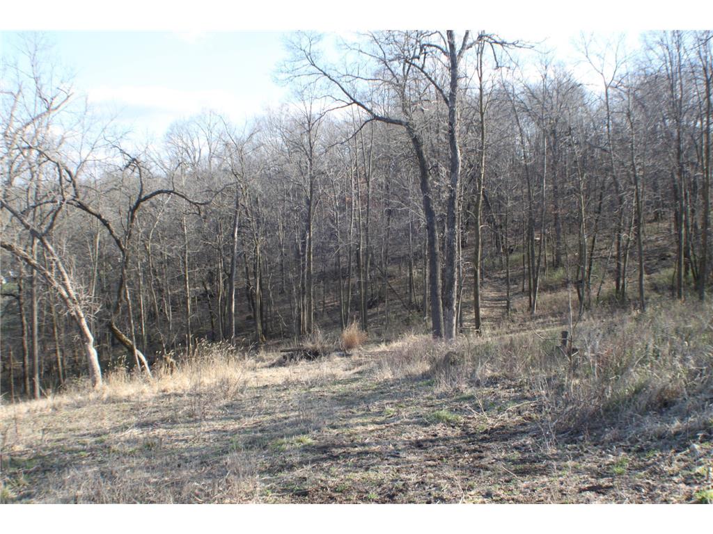 xxxxB Kings Park Road NW Oronoco Twp MN 55960 6707240 image3