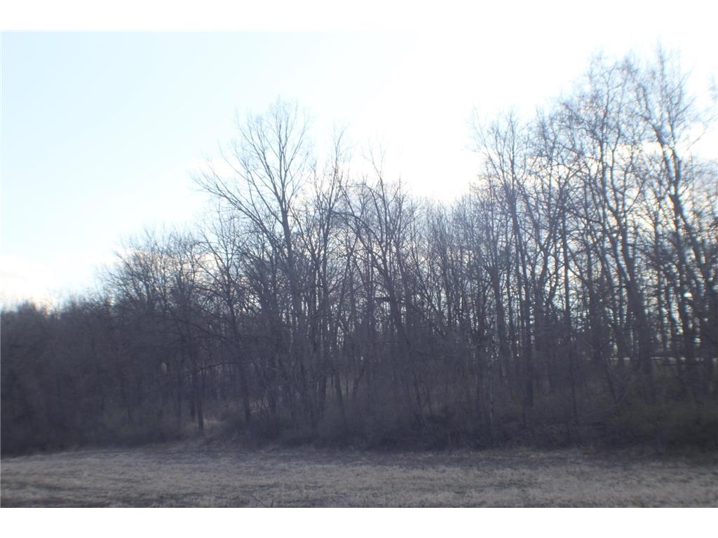 xxxxB Kings Park Road NW Oronoco Twp MN 55960 6707240 image5