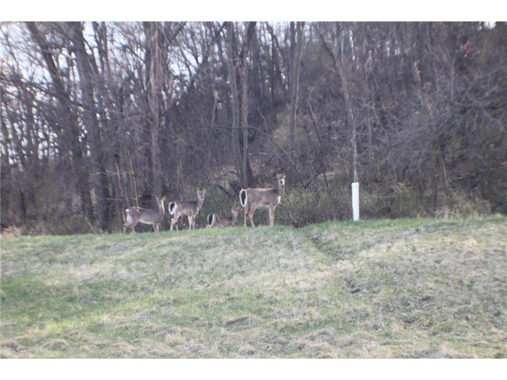 xxxxB Kings Park Road NW Oronoco Twp MN 55960 6707240 image6