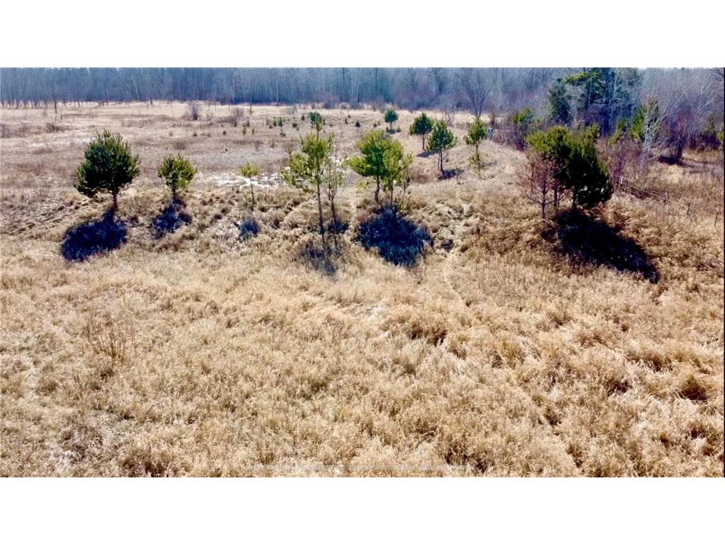 xxxxx 155th Street NE Foley MN 56329 6495143 image1