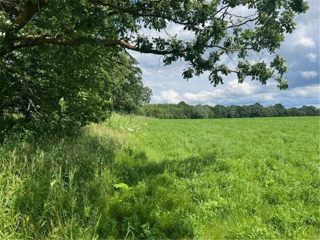 xxxxx 220th Rice Twp MN 56621 6563970 image1