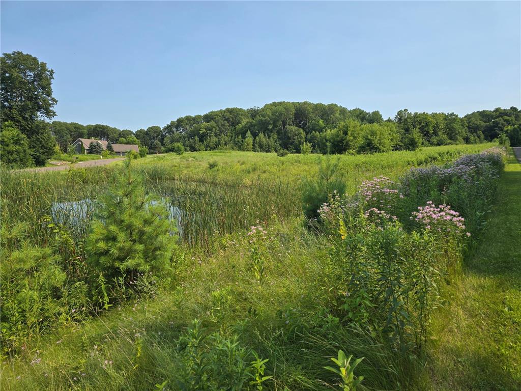 xxxxx 244th Road Franconia Twp MN 55073 6767247 image1