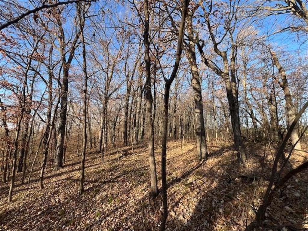 xxxxx 460th Ave Rush Lake Twp MN 56573 6624116 image1