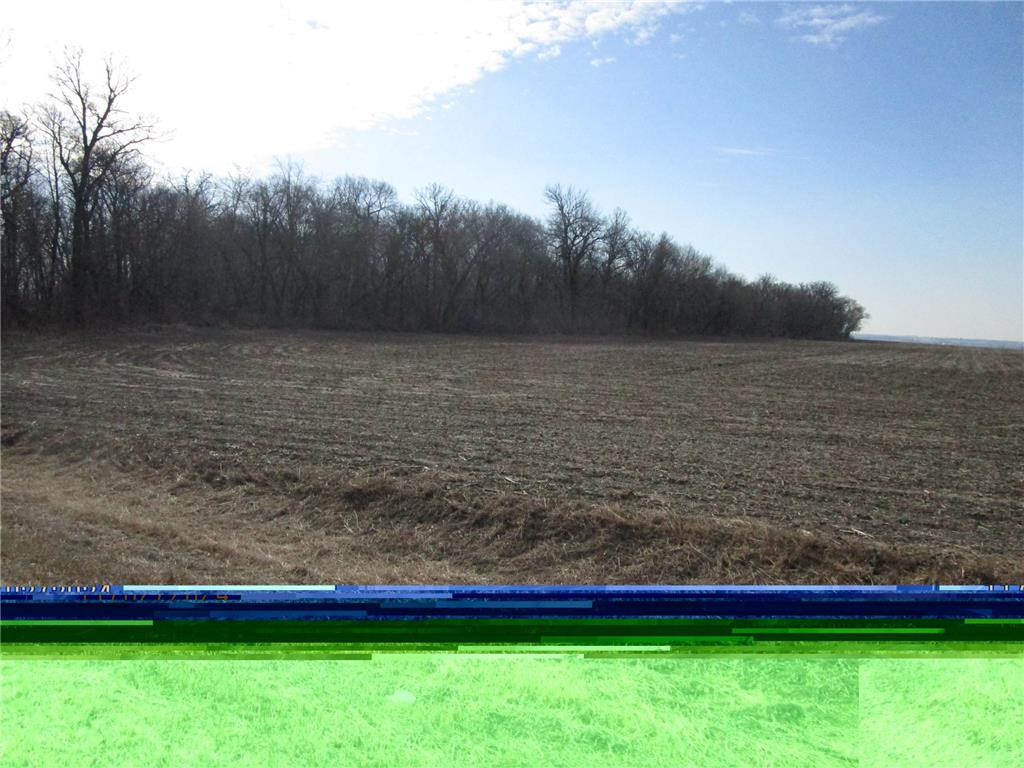 TBD 480th Street Pine Island MN 55963 6699001 image1