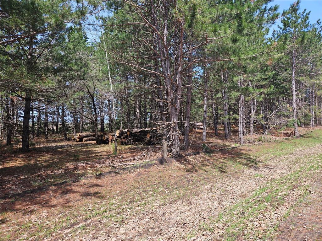 xxxxx Alta Way Pine Lake Twp MN 56573 6314680 image1