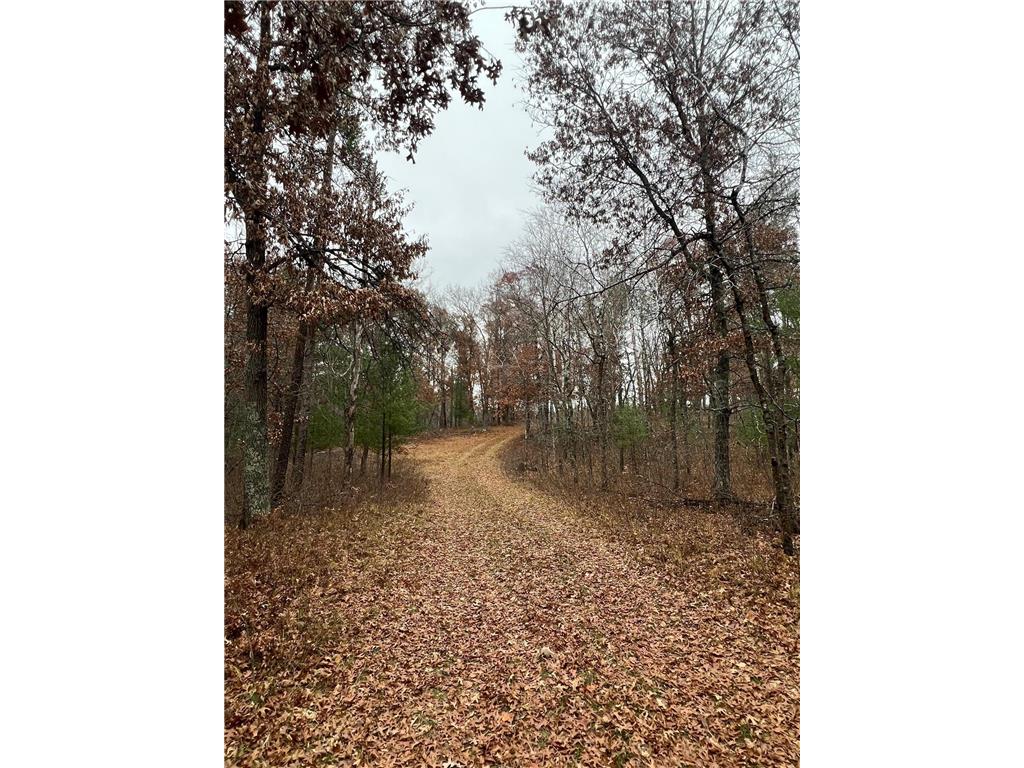 xxxxx Cemetery Road Anderson Twp WI 54840 6457308 image1