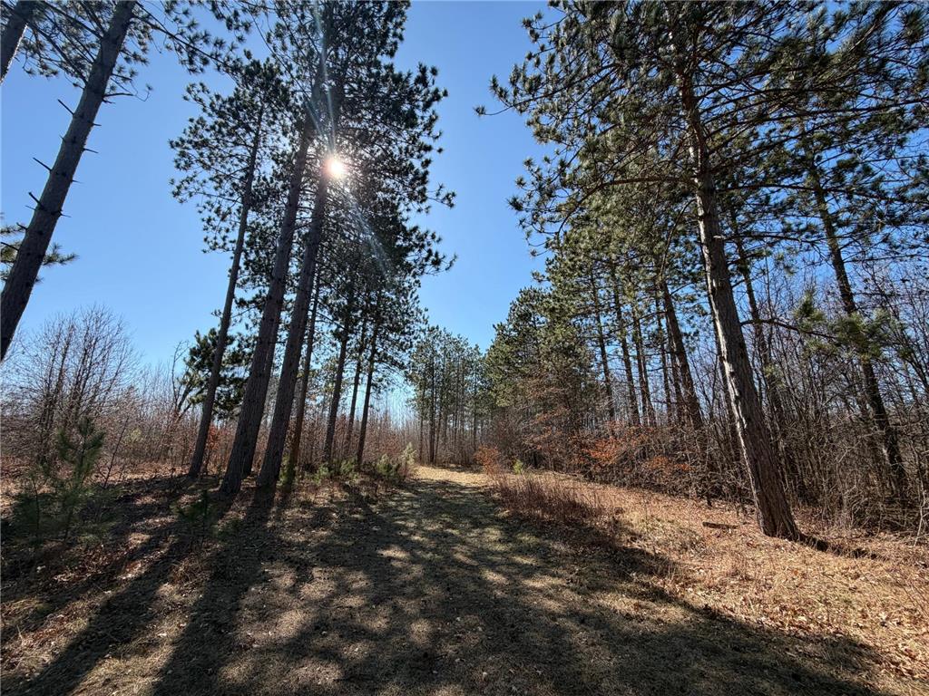 xxxxx Cty Rd F /Pete Nelson Road Grantsburg WI 54840 7056227 image4