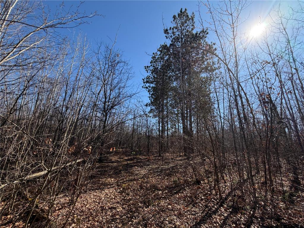 xxxxx Cty Rd F /Pete Nelson Road Grantsburg WI 54840 7056227 image6