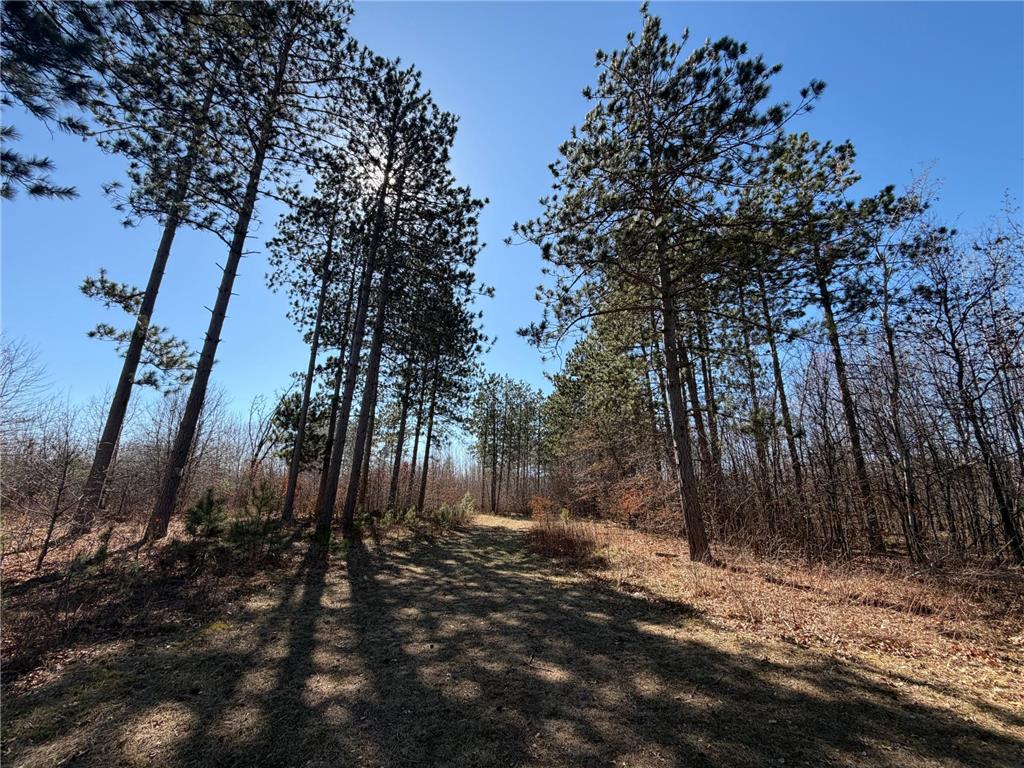 xxxxx Cty Rd F /Pete Nelson Road Grantsburg WI 54840 7056227 image7