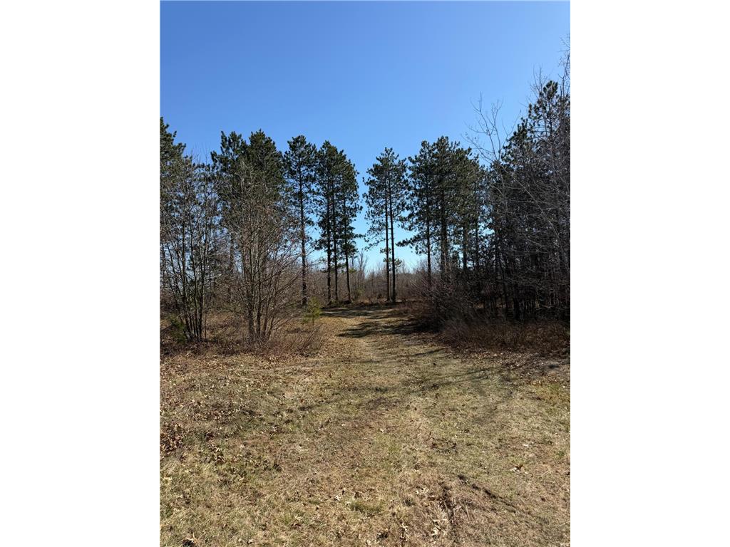 xxxxx Cty Rd F /Pete Nelson Road Grantsburg WI 54840 7056227 image8
