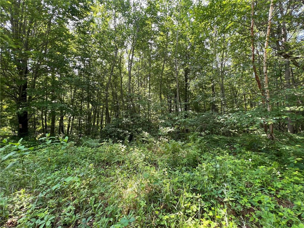 xxxxx Kovarik Road Webster WI 54893 6394568 image1