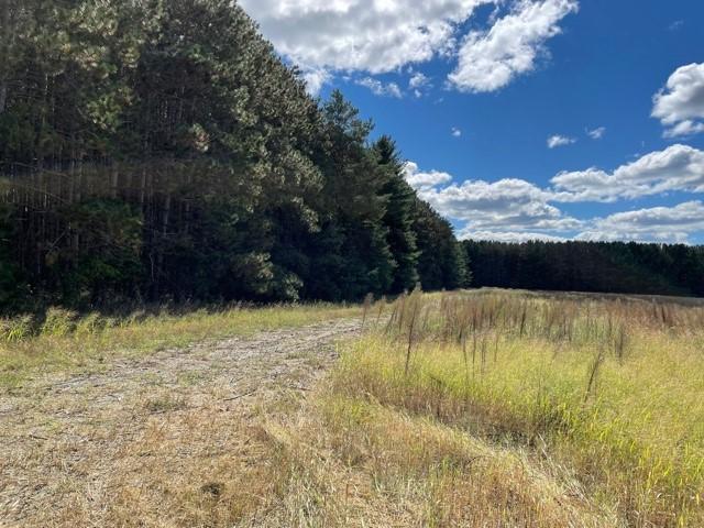 8266 325th Avenue NW Spencer Brook Twp MN 55371 6103777 image11