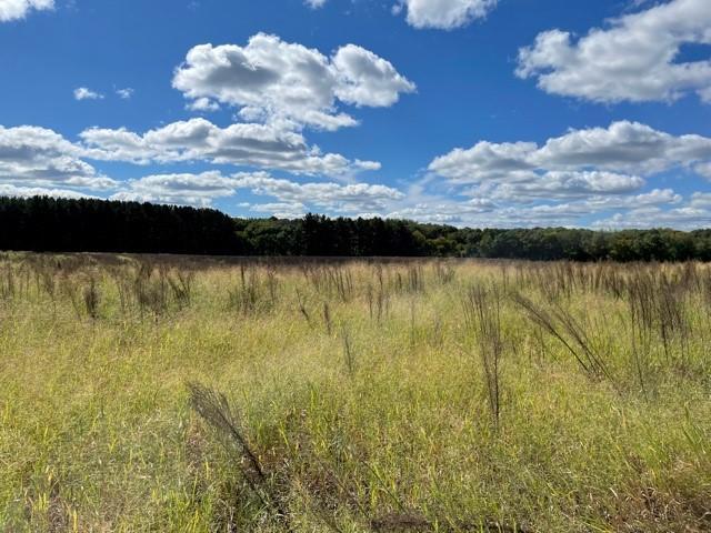 8266 325th Avenue NW Spencer Brook Twp MN 55371 6103777 image12