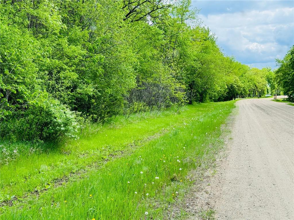 xxxxx Lot 3 Canterbury Sands Trail Everts Twp MN 56515 6541214 image1