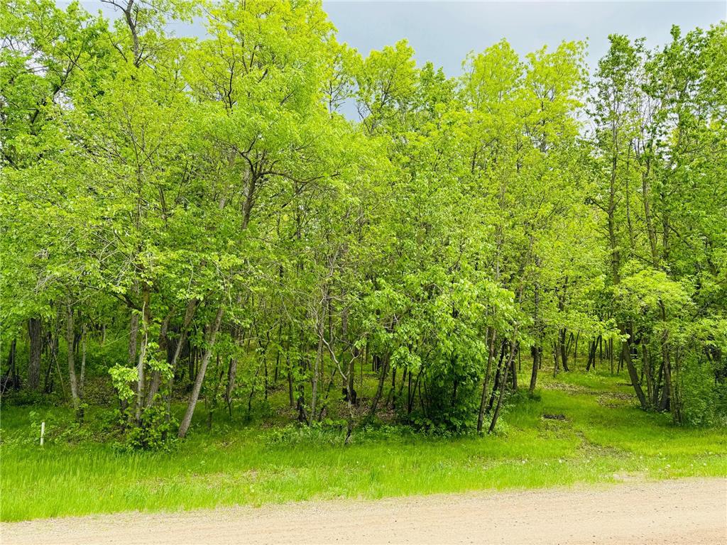 xxxxx Lot 4 Canterbury Sands Trail Everts Twp MN 56515 6541210 image1