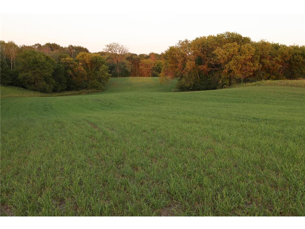 xxxxx May Avenue N Marine On Saint Croix MN 55047 6465058 image1