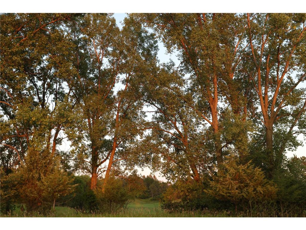 xxxxx May Avenue N, Marine On Saint Croix, MN, 55047 MLS 6465058