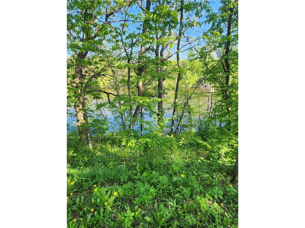 xxxxx Riverview Road NE Hanover MN 55341 - Crow River 6374029 image1