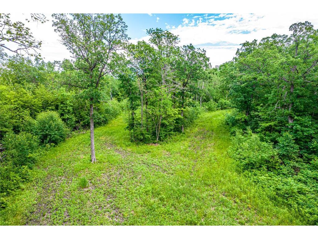 xxxxx N Rural Vacant Land, Mahnomen, MN, 56557 MLS 6331928 Edina