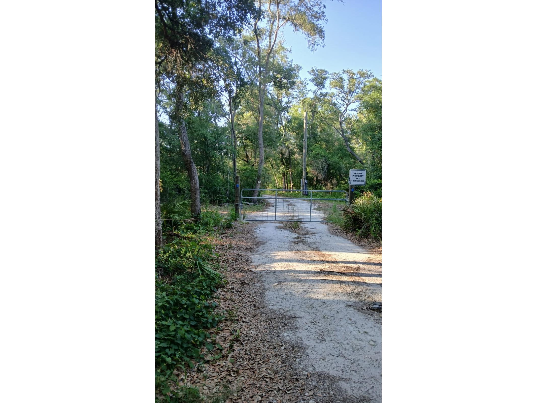 0 And Tbd Webster FL 33597 TB8503158 image1