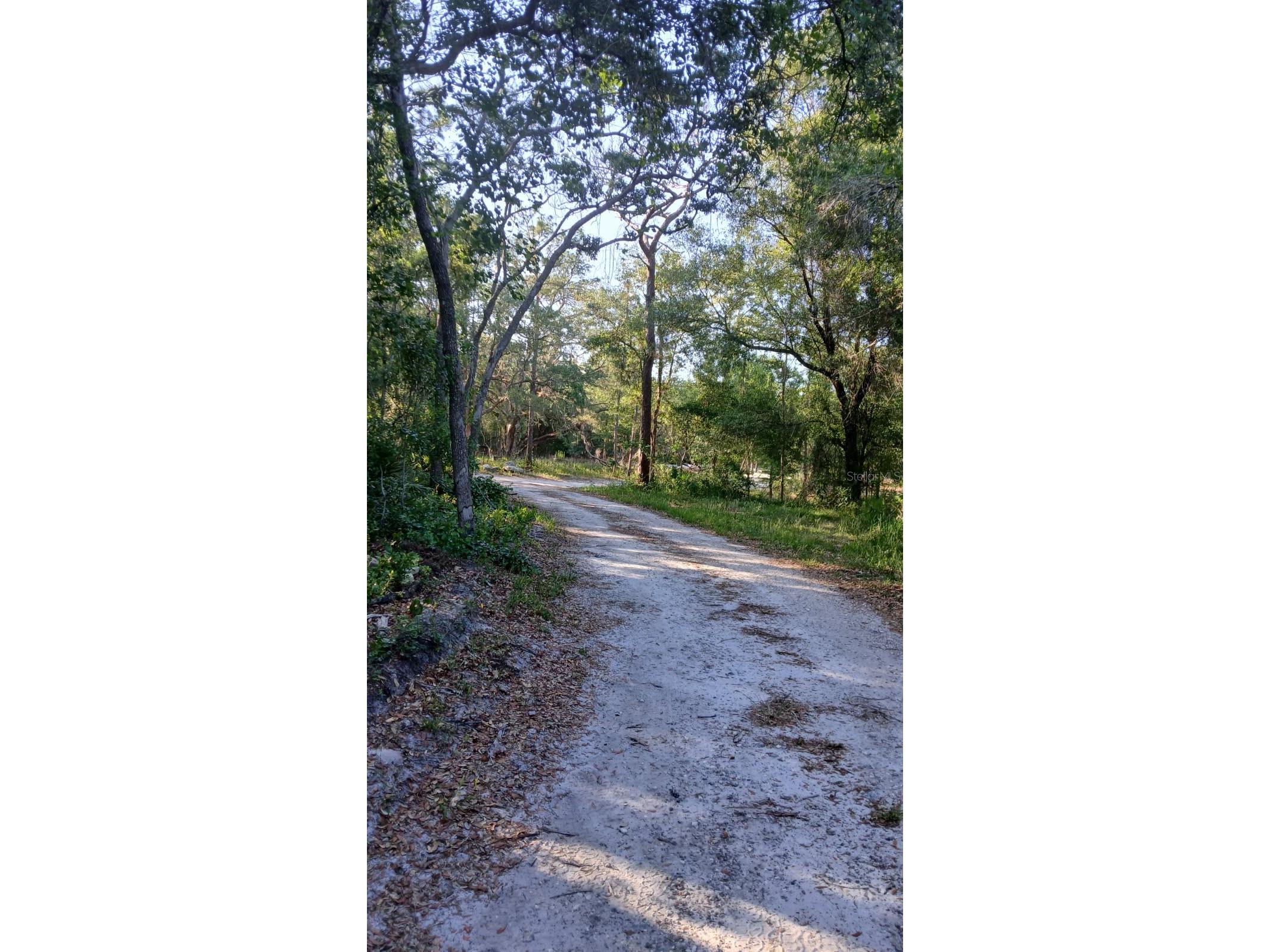 0 And Tbd Webster FL 33597 TB8503158 image2