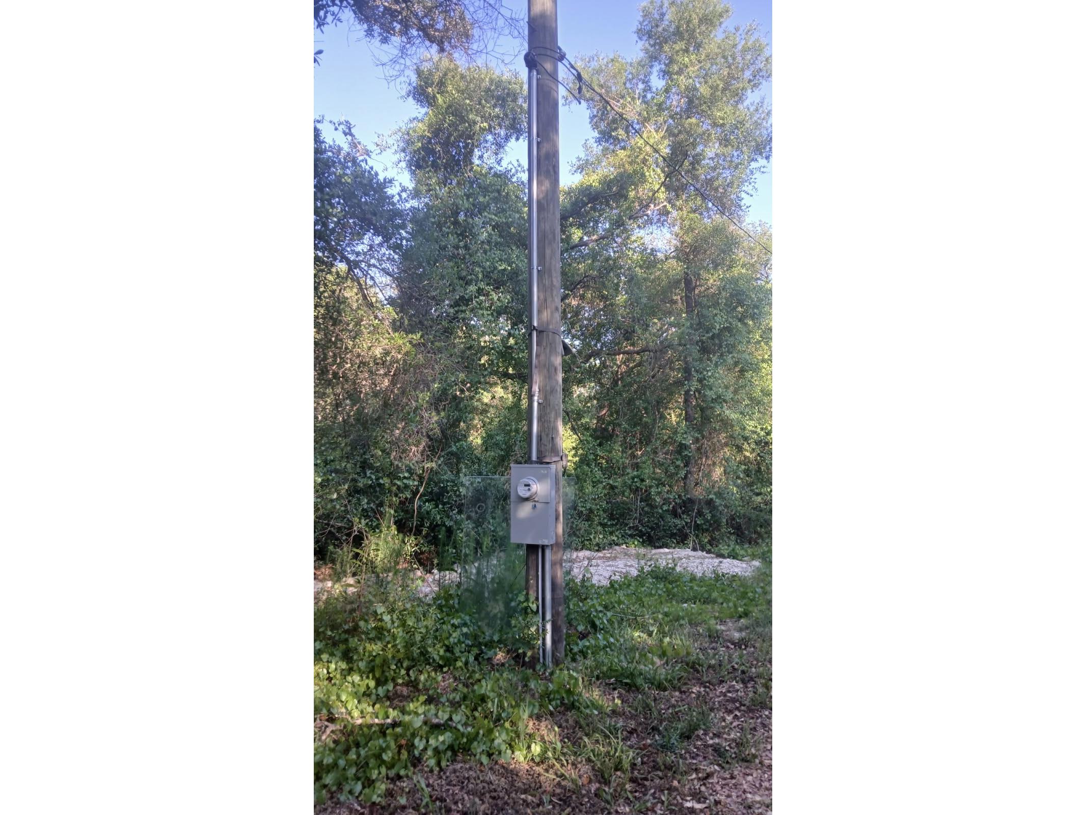 0 And Tbd Webster FL 33597 TB8503158 image3